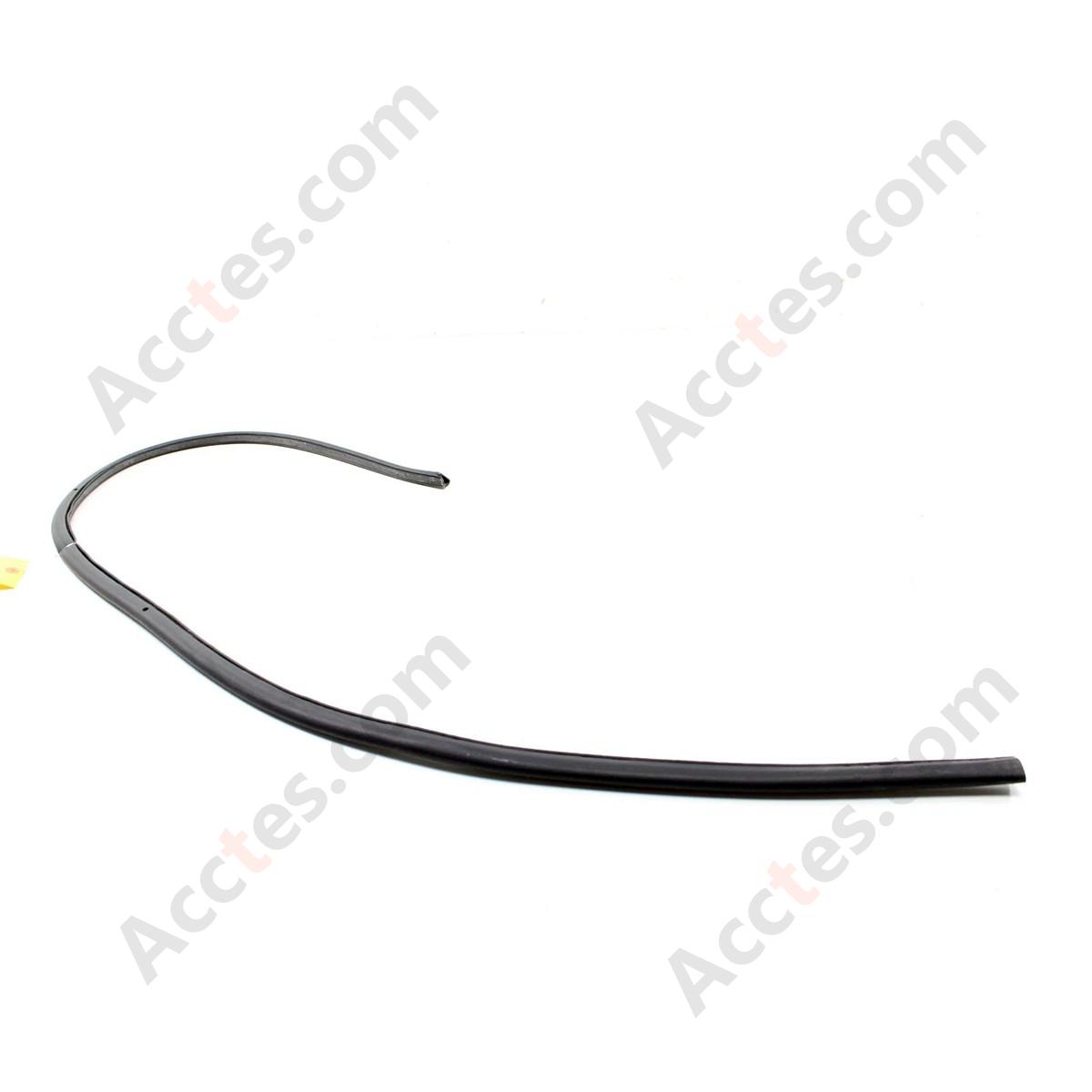 2017 - 2023 TESLA MODEL 3 FRONT RIGHT PASSENGER SIDE DOOR WEATHERSTRIP SEAL OEM