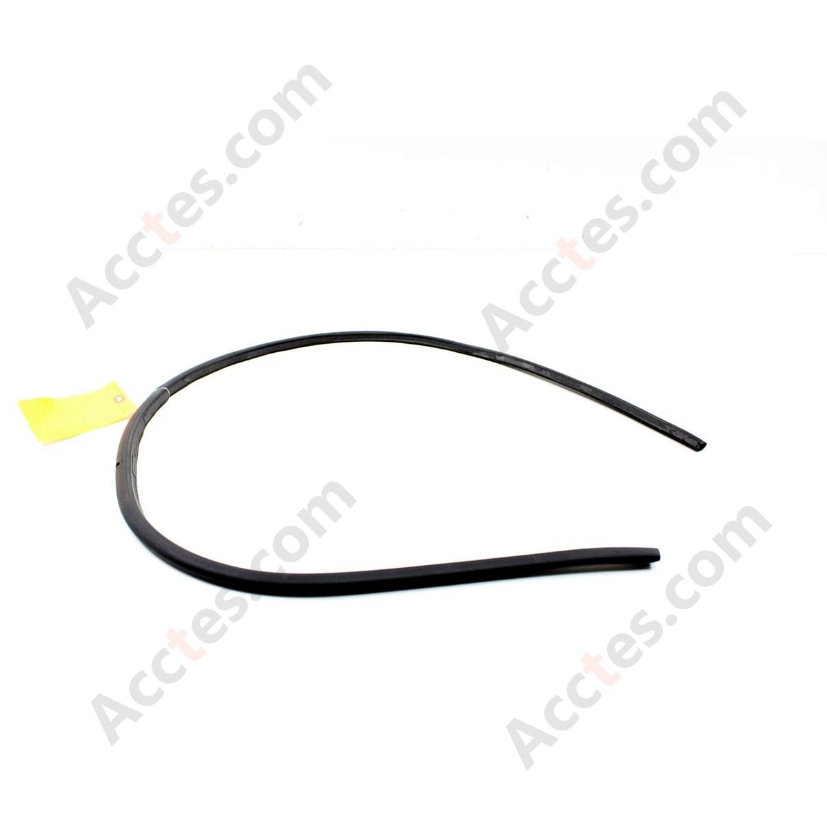 2017 - 2023 TESLA MODEL 3 FRONT RIGHT PASSENGER SIDE DOOR WEATHERSTRIP SEAL OEM