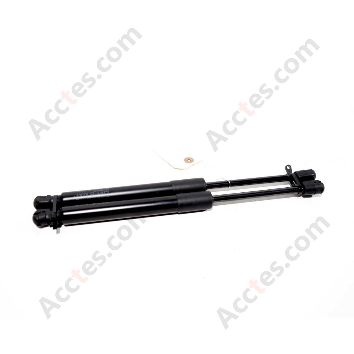 2017 - 2023 Tesla Model 3 Rear Right & Left Trunk Shock Strut OEM 1091560-00-B