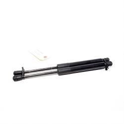 2017 - 2023 Tesla Model 3 Rear Right & Left Trunk Shock Strut OEM 1091560-00-B