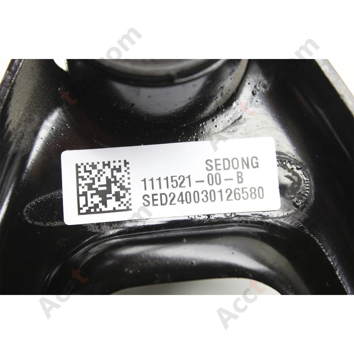 2019-2022 Tesla Model 3&Y Front Drive Unit Mount Bracket LH 1110233-00-C