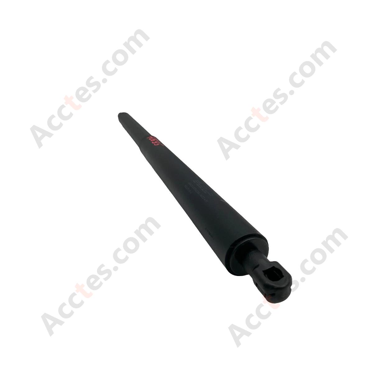 2020-2024 Tesla Model Y Rear Passenger Side Liftgate Strut Right 1500602-00-A