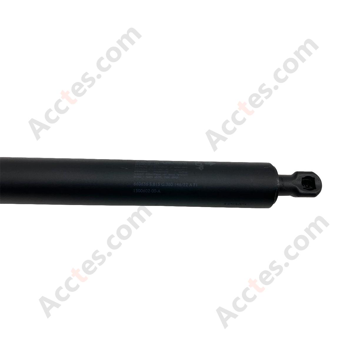 2020-2024 Tesla Model Y Rear Passenger Side Liftgate Strut Right 1500602-00-A