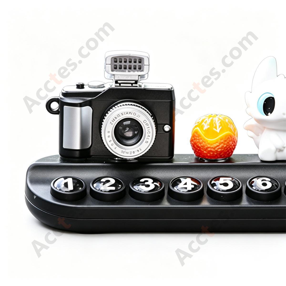Black White Cartoon Dragon Parking Plate Ornament with Camera & Fruit Miniatures
