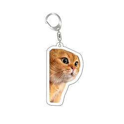 Funny Expression Orange Cat Resin Car Keychain Pendant challenge