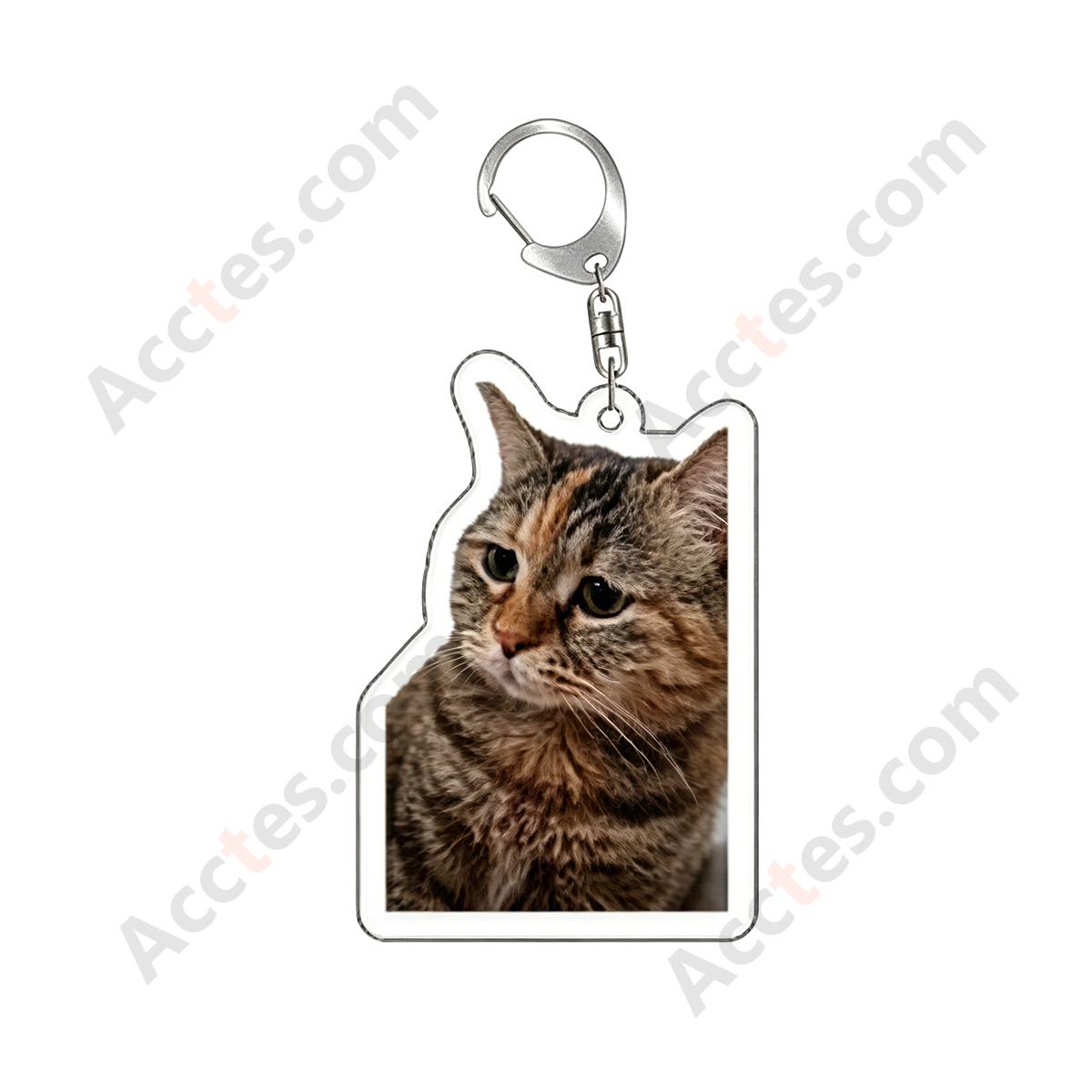 Funny Expression Orange Cat Resin Car Keychain Pendant wronged